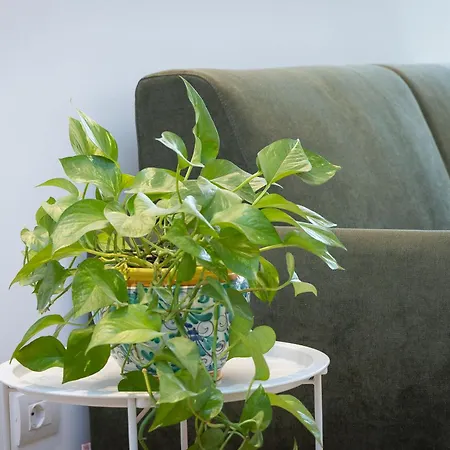 Amazing Tacito Apartment