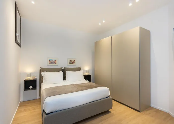 Amazing Tacito Daire