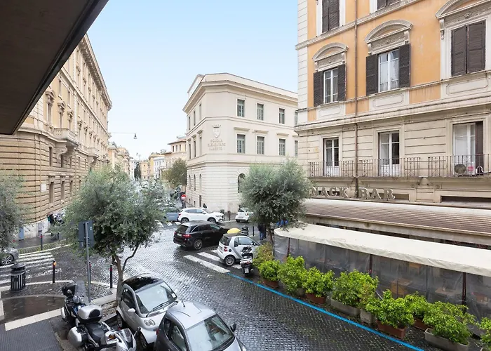 Amazing Tacito Daire